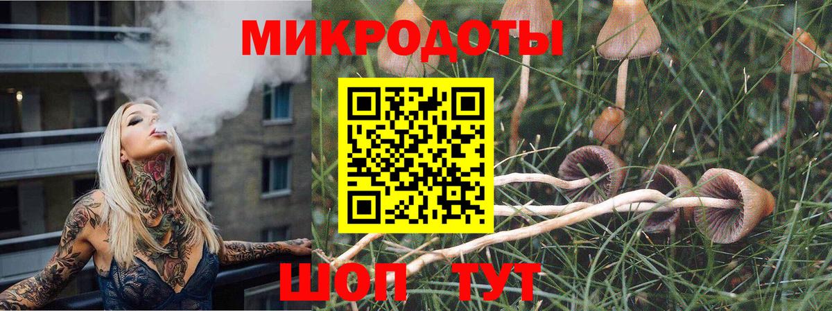 Галлюциногенные грибы GOLDEN TEACHER Павловский Посад