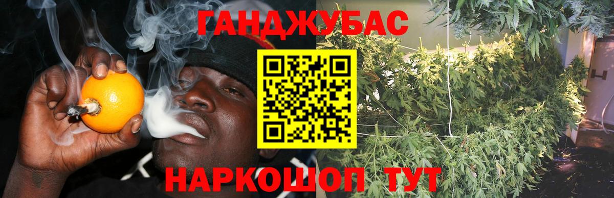 Марихуана семена  Бошки Шишки Bruce Banner  Вход с VPN  Конопля семена  МАРИХУАНА SATIVA & INDICA  Павловский Посад 